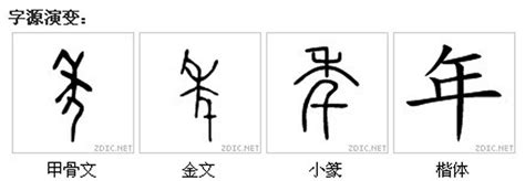 生男 字|生(漢語漢字):字源演變,詳細釋義,古籍釋義,說文解字,說文解字注,。